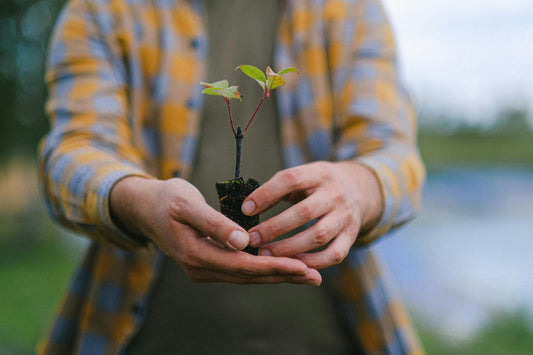 Check Out Photos from Our Plantings