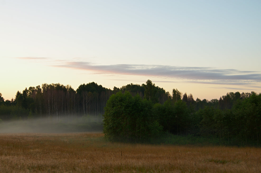Autumn on the Horizon