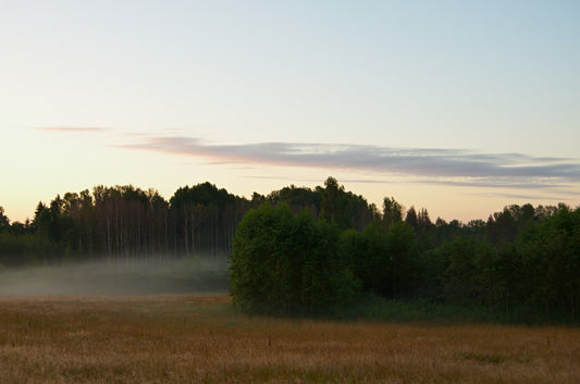 Autumn on the Horizon